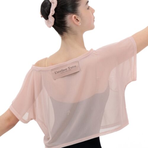 Mesh Dance Crop Top For Women - Pink